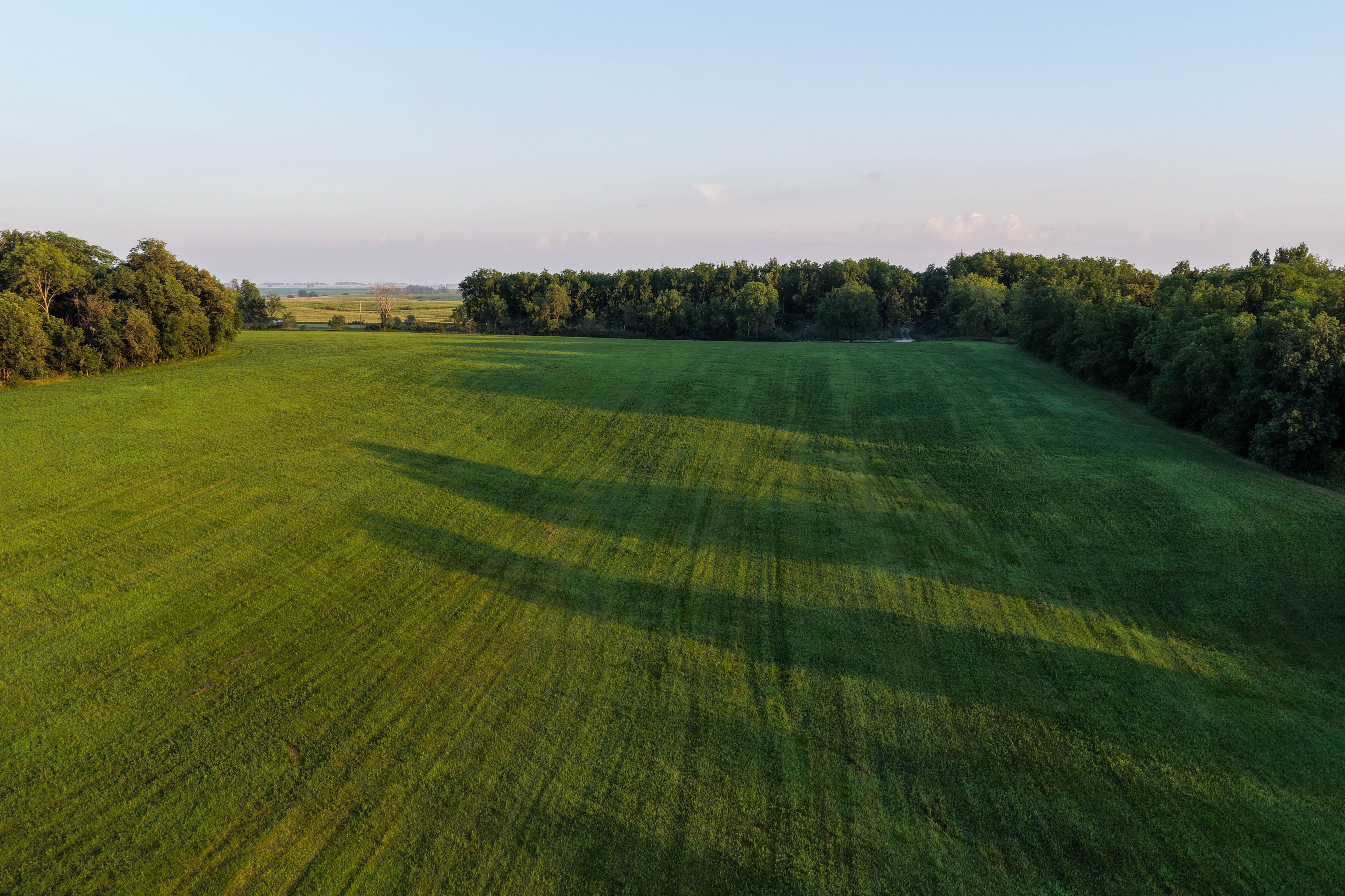 Listing Photo: Johnson County Land For Sale-9